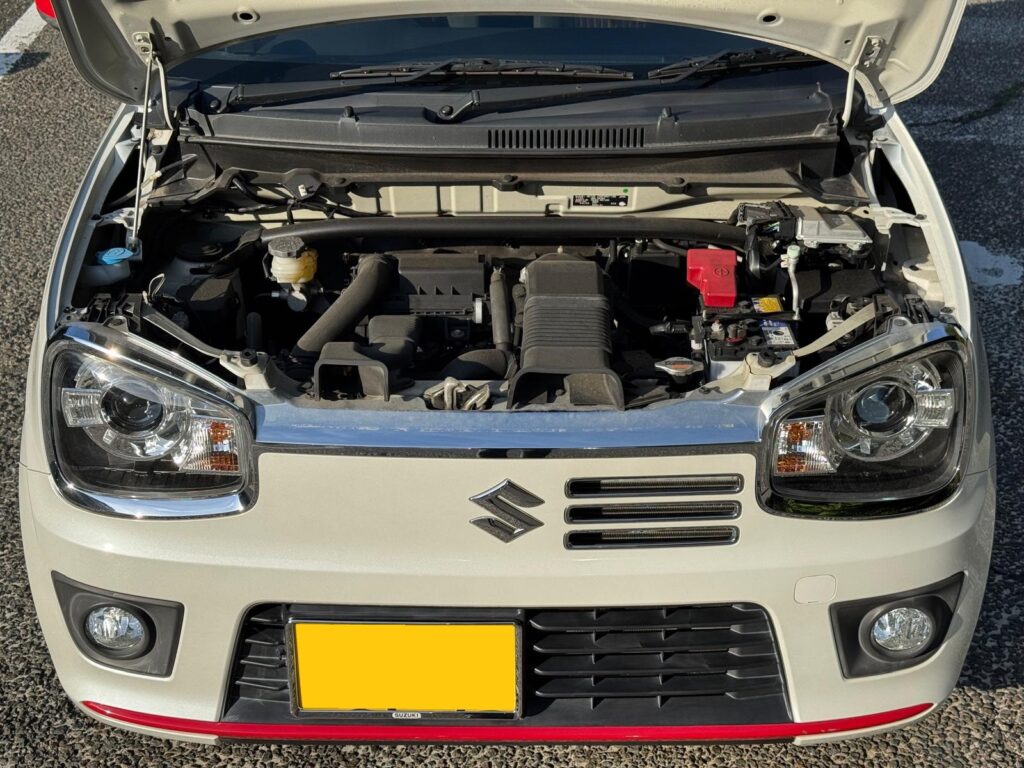 Suzuki Alto RS Turbo